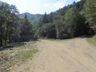 Valea Uzului Limita dintre Bacau si Harghita Valea Uzului